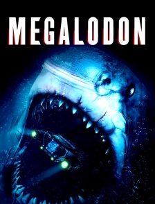 Megalodon