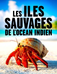 Les îles sauvages de l'océan Indien