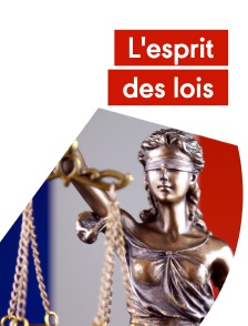 L'esprit des lois