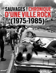 Sauvages ! Chronique d'une ville rock (1975-1985)