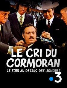 France 3 - Le cri du cormoran le soir au-dessus des jonques