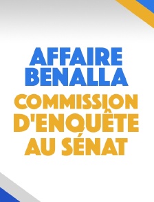 Affaire Benalla : commission d'enquête au Sénat