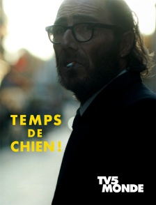 TV5MONDE - Temps de chien