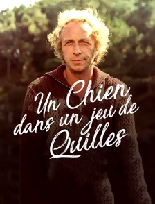 Un chien dans un jeu de quilles