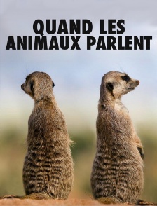 Quand les animaux parlent