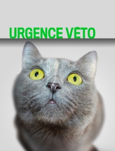Urgence véto