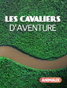 Les cavaliers d'aventure