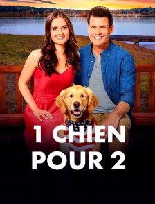 Un chien pour deux