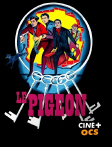 CINÉ Cinéma - Le pigeon