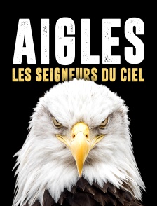 Aigles, les seigneurs du ciel