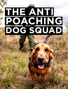The anti-poaching dog squad