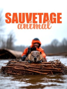 Sauvetage animal