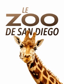 Le zoo de San Diego