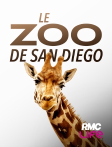 RMC Life - Le zoo de San Diego