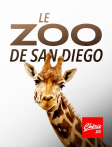Chérie 25 - Le zoo de San Diego