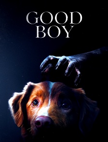 Good Boy