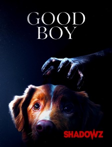 Shadowz - Good Boy