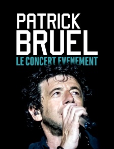 Patrick Bruel, le concert événement