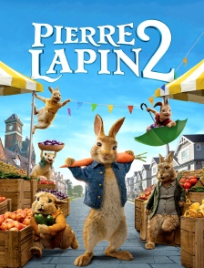 Pierre Lapin 2