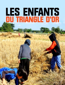 Les enfants du triangle d'or