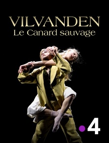 France 4 - Vilvanden - Le Canard sauvage