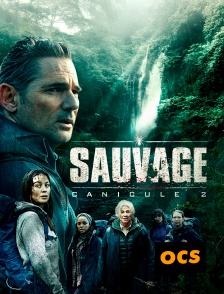 OCS - Sauvage : Canicule 2