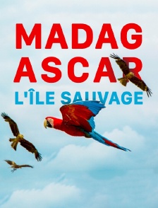 Madagascar, l'île sauvage