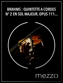 Mezzo - Brahms : Quintette à cordes n° 2 en sol majeur, opus 111 - Takács Quartet, Nabuko Imai
