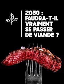 2050 : faudra-t-il vraiment se passer de viande ?
