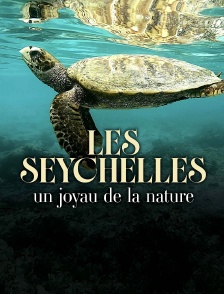 Les Seychelles : Un joyau de la nature