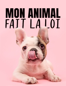Mon animal fait la loi