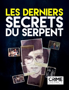 Crime District - Les derniers secrets du serpent