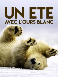 Un été avec l'ours blanc