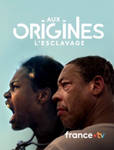 france.tv - Aux origines, l'esclavage