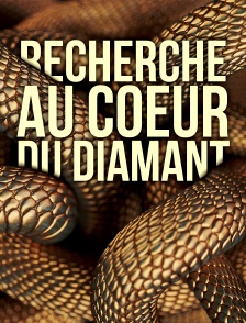 Recherche au coeur du Diamant