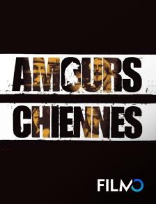 FilmoTV - Amours chiennes