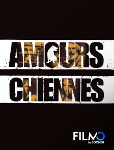 FilmoTV - Amours chiennes