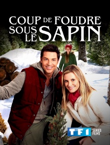 TF1 Séries Films - Coup de foudre sous le sapin