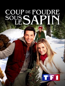 TF1 - Coup de foudre sous le sapin