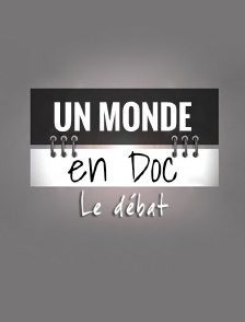 Un monde en doc, le débat