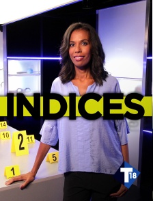 T18 - Indices