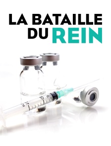 La bataille du rein