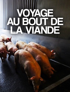 Voyage au bout de la viande