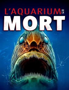 L'aquarium de la mort