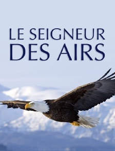 Le seigneur des airs