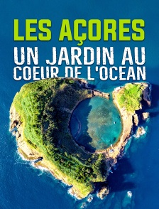 Les Açores, un jardin au coeur de l'océan