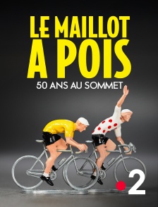 France 2 - Le maillot à pois, 50 ans au sommet