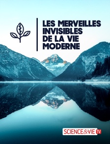 Science et Vie TV - Les merveilles invisibles de la vie moderne