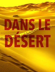 Dans le désert