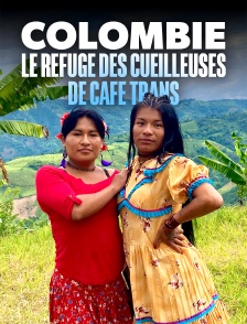 Colombie, le refuge des cueilleuses de café trans